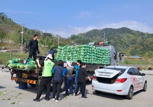 거창푸드뱅크-한국농수산식품유통공사, 배추 2500포기 후원