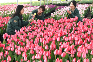 장애인도 대기 없이 온라인으로 에버랜드 할인 예매 가능
