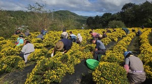 맞춤형 자활로 근로의지 높인다…복지부, 시범사업 실시