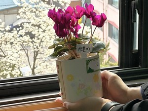 용인종합사회복지관, 어르신 정서지원 원예 프로그램 진행